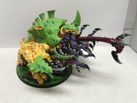 EF865864-FEEF-4A85-A985-B8F1BB62D224.jpeg