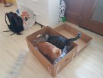 20180707_172307.jpg