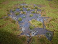 Cadian Surface (9).jpg