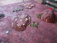 Spiel 2 (43).jpg