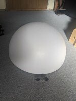 PXL_20210223_130023538.jpg