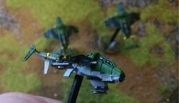 Vulture (6).jpg