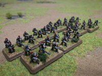 CSM (1).jpg