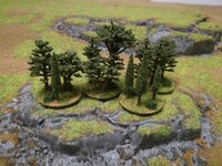 Bäume (8).jpg