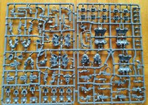 Wyches; Im Gußrahmen: Todeskompanie, Necronkrieger + Scarabs Wyches; Im Gußrahmen: Todeskompanie, Necronkrieger + Scarabs