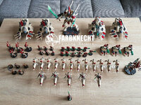 Eldar Armee (2).jpg