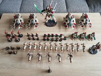 Eldar Armee (9).jpg