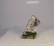 P1020391 (2).JPG
