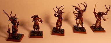 20200928_131359.jpg