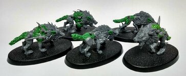 Dire Wolves 1.jpg