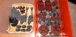 20200620_190455.jpg