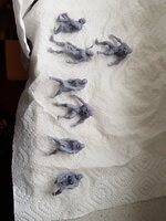 20211006_161007.jpg