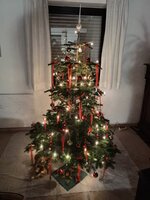 IMG_20211224_183522.jpg