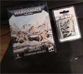 Space Wolves.JPG