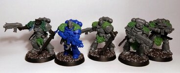 Graumähnen-Intercessor 1.0.jpg