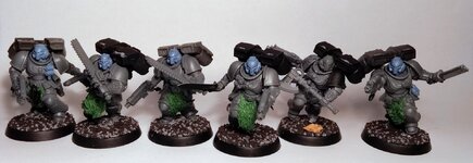 Blutwölfe-AssaultIntercessor 1.0.jpg