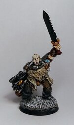 2.Edi Wolfscout 1.3.1.jpg