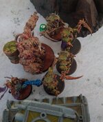 IMG_20220130_110330_6~2.jpg