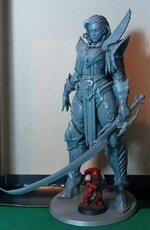 Fulgrine_grey_1.jpg