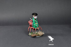 Jorogumo4.JPG