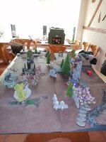 IMG_20220508_092319.jpg