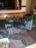 IMG_20220508_092330.jpg