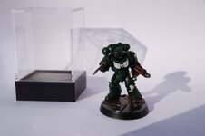 DSC01282.JPG
