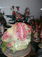 IMG_20220703_092022.jpg