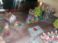IMG_20220724_094055.jpg