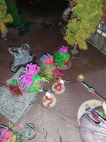 IMG_20220724_102223.jpg