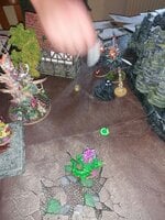 IMG_20220724_123617.jpg