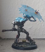 20220815_075155.jpg