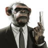 donkalleone