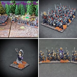 Warmaster Dunkelelfen