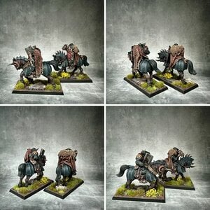 Krieger des Chaos