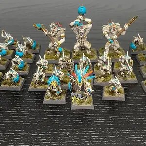 Skinks öffentlich
