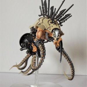 4 Drukhari Chronos