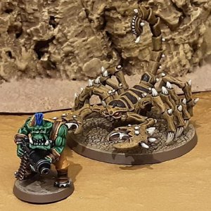 Großer Wüstenskorpion