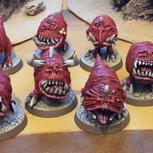 Squig Herde