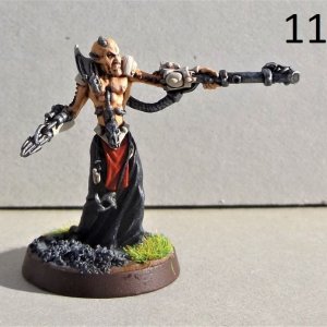 Haemonculus1.jpg