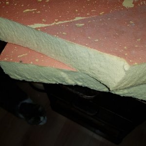 20201104_155242.jpg