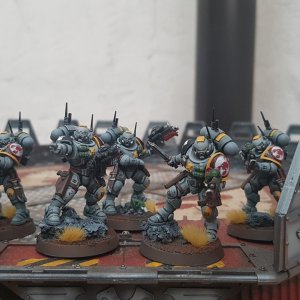 18 - Incursors/Infiltrators Red Scorpions