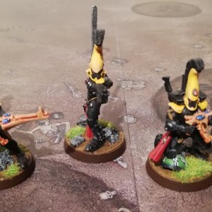 12 - Dire Avengers