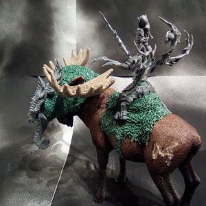 IMG_20201204_205842.jpg