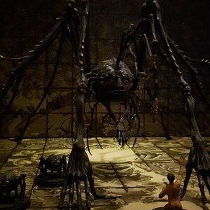 Spidicules aus KD:M