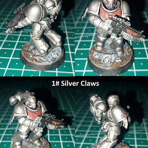1# Silver Claws.jpg