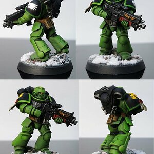 7# Salamanders.jpg