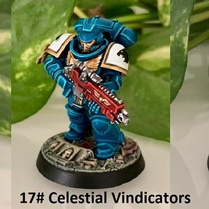 17# Celestial Vindicators.jpg