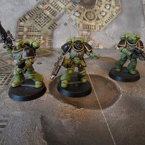 primaris3.JPG