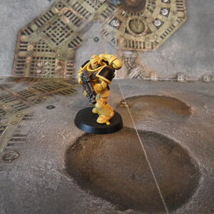 primaris5.JPG